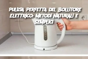 Pulizia Perfetta del Bollitore Elettrico: Metodi Naturali e Semplici