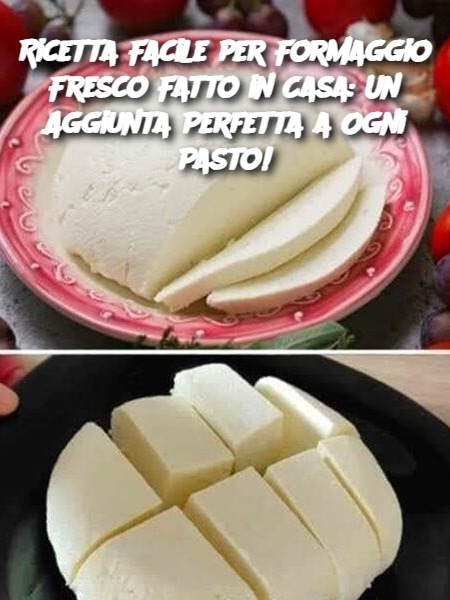Ricetta Facile per Formaggio Fresco Fatto in Casa: Un Aggiunta Perfetta a Ogni Pasto!