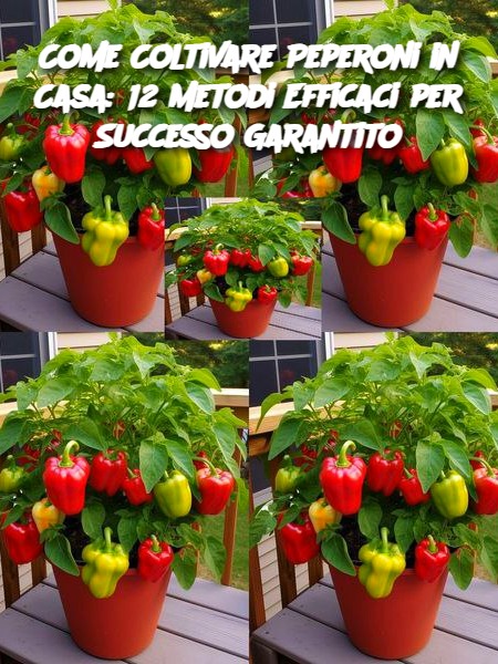 Come Coltivare Peperoni in Casa: 12 Metodi Efficaci per Successo Garantito