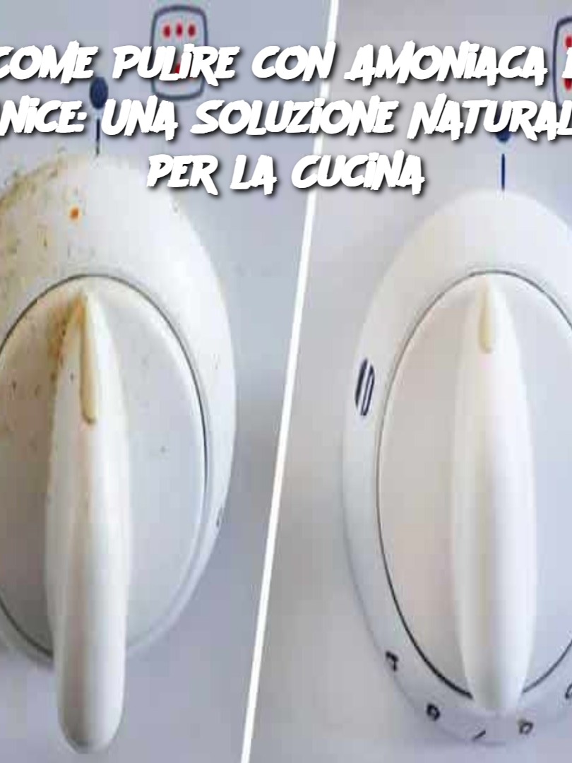 Come Pulire con Amoniaca e Anice: Una Soluzione Naturale per la Cucina